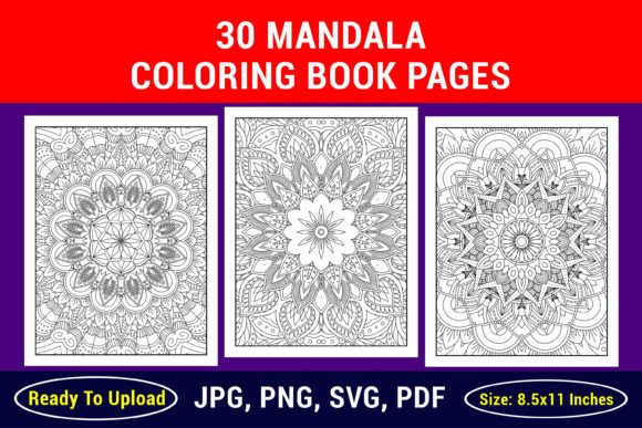 The Strategic Value of Premium Adult Coloring Book Page KDP Interior for Modern Creators